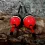 HMT Inline Barsch Bobber