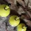 HMT Inline Barsch Bobber