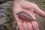 Korum Grub Feeder 30g