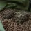 Korum River cage feeder