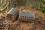 Korum River feeder