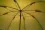 Hand Made Tackle Korum Super Steel Brolly 45\